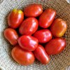 tomate perita