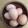 Huevo de campo