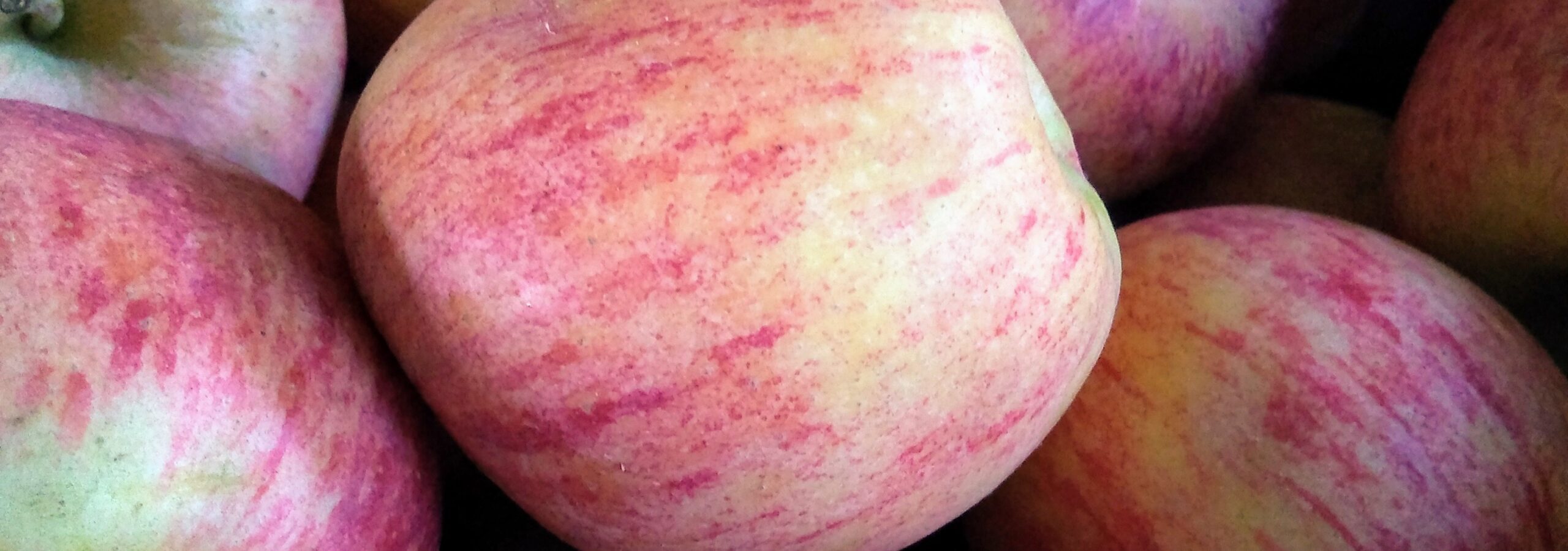 Manzana orgánica en Chile