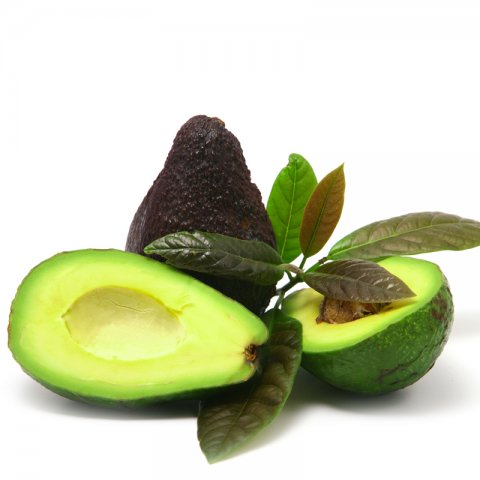 Palta hass