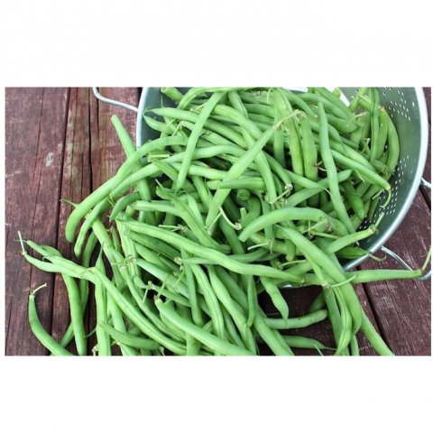 Porotos verdes