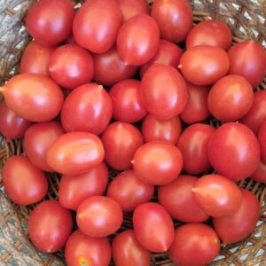 Tomate cherry 500 gr