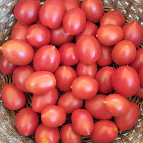 Tomate cherry 500 gr