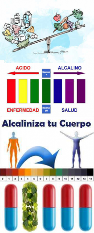 Buscando el equilibrio ácido-alcalino