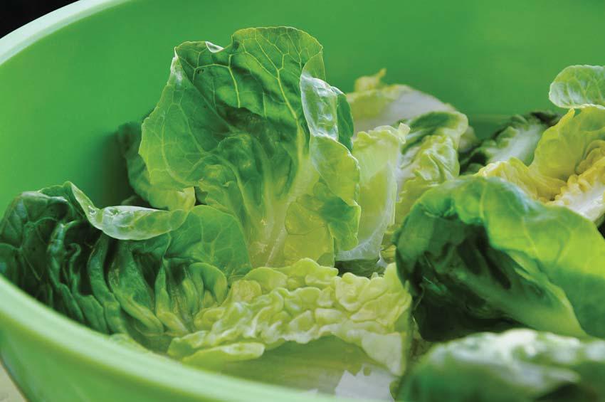 El mundo «desinfectado»