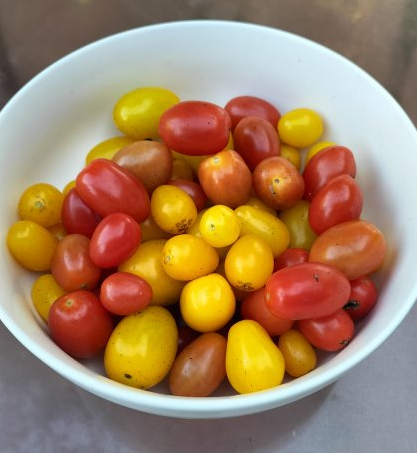 tomate cherry mix
