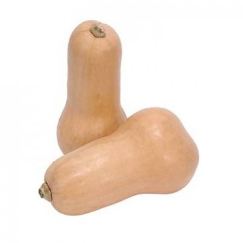 Zapallo butternut