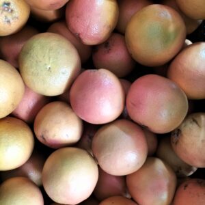 Pomelo