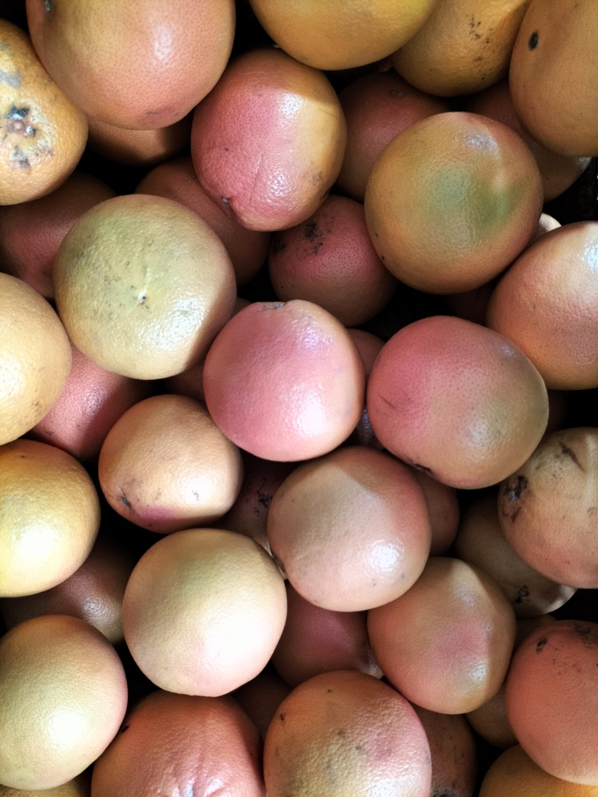 Pomelo