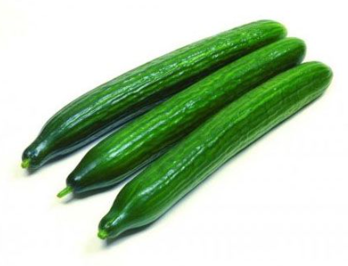 Pepino alaska